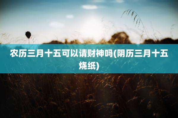 农历三月十五可以请财神吗(阴历三月十五烧纸)