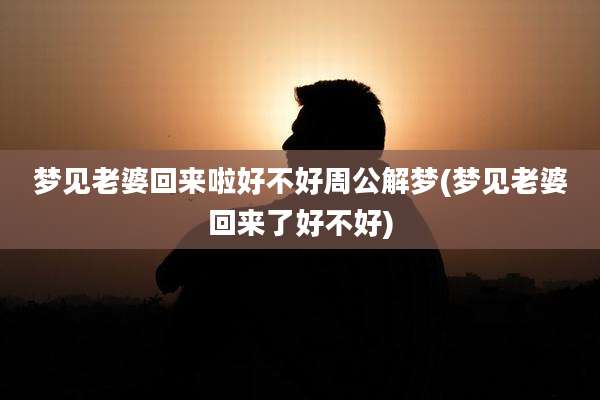 梦见老婆回来啦好不好周公解梦(梦见老婆回来了好不好)