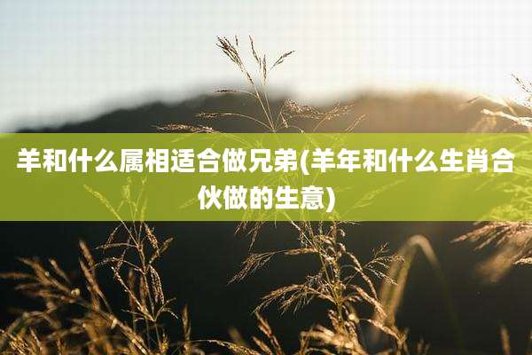 羊和什么属相适合做兄弟(羊年和什么生肖合伙做的生意)