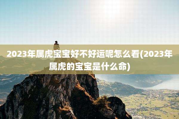 2023年属虎宝宝好不好运呢怎么看(2023年属虎的宝宝是什么命)