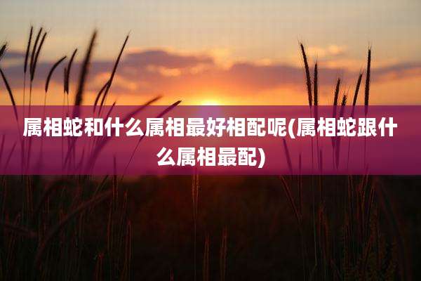 属相蛇和什么属相最好相配呢(属相蛇跟什么属相最配)