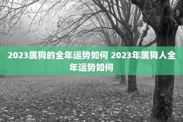2023属狗的全年运势如何 2023年属狗人全年运势如何