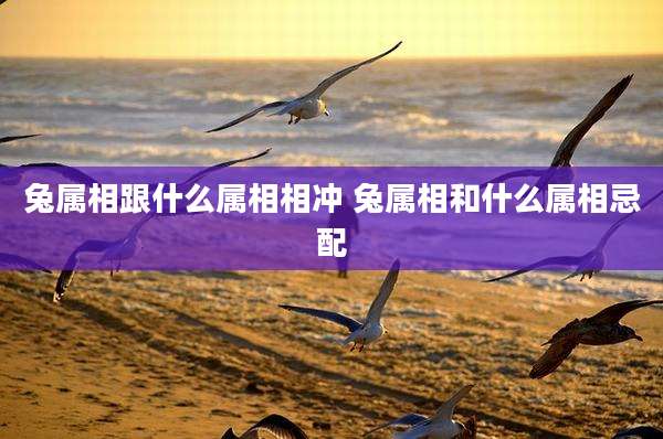 兔属相跟什么属相相冲 兔属相和什么属相忌配