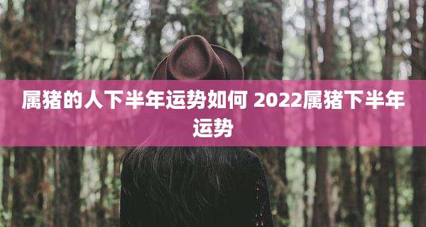 属猪的人下半年运势如何 2022属猪下半年运势