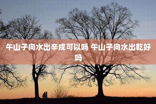 午山子向水出辛戌可以吗 午山子向水出乾好吗