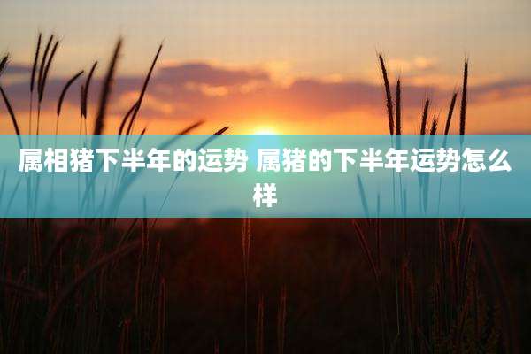 属相猪下半年的运势 属猪的下半年运势怎么样
