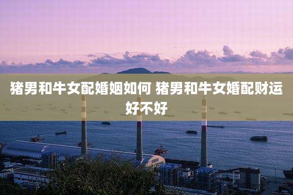 猪男和牛女配婚姻如何 猪男和牛女婚配财运好不好