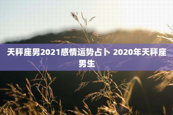 天秤座男2021感情运势占卜 2020年天秤座男生