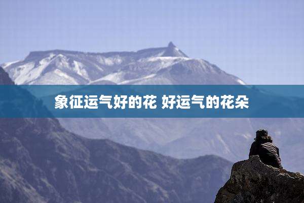 象征运气好的花 好运气的花朵