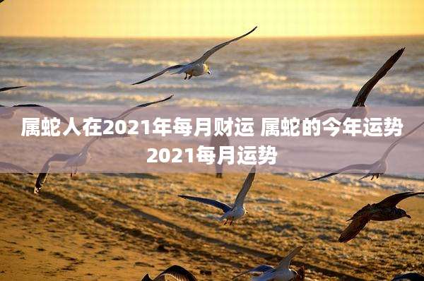属蛇人在2021年每月财运 属蛇的今年运势2021每月运势