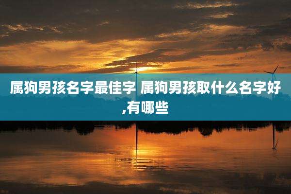 属狗男孩名字最佳字 属狗男孩取什么名字好,有哪些