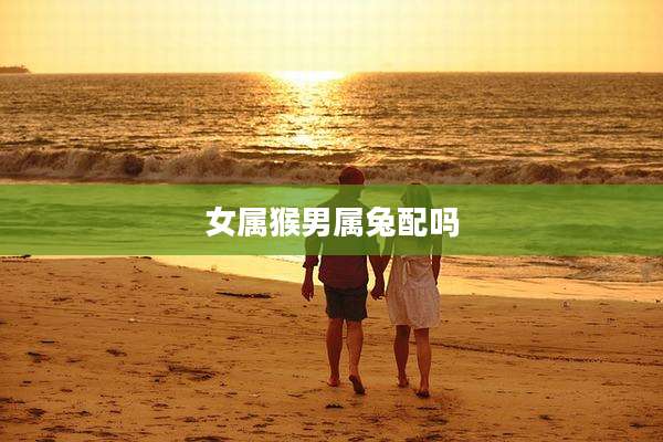 女属猴男属兔配吗