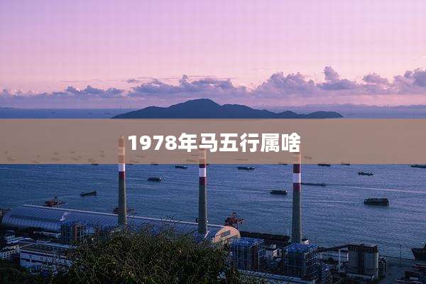 1978年马五行属啥