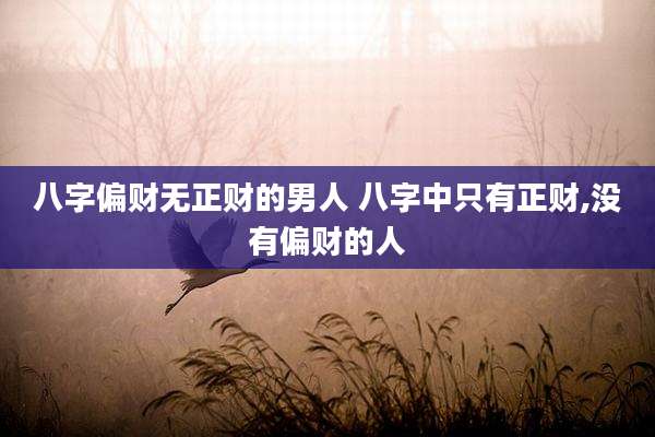 八字偏财无正财的男人 八字中只有正财,没有偏财的人