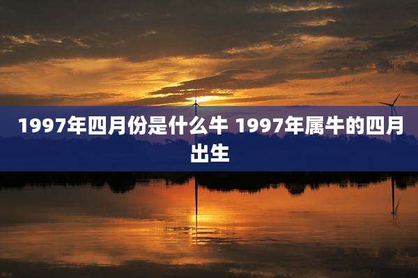 1997年四月份是什么牛 1997年属牛的四月出生