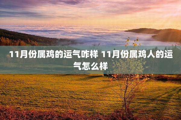 11月份属鸡的运气咋样 11月份属鸡人的运气怎么样