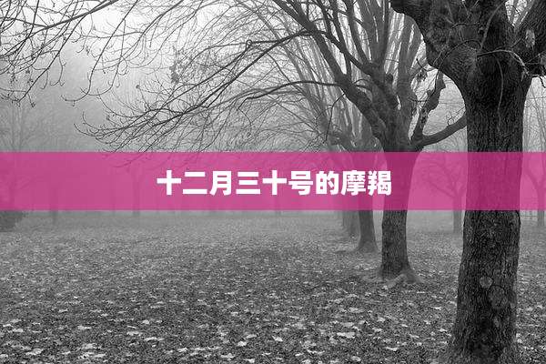 十二月三十号的摩羯