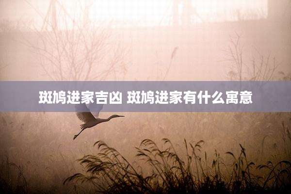 斑鸠进家吉凶 斑鸠进家有什么寓意