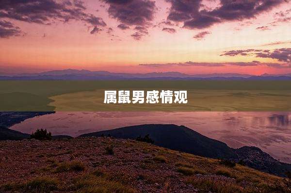 属鼠男感情观