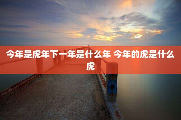 今年是虎年下一年是什么年 今年的虎是什么虎