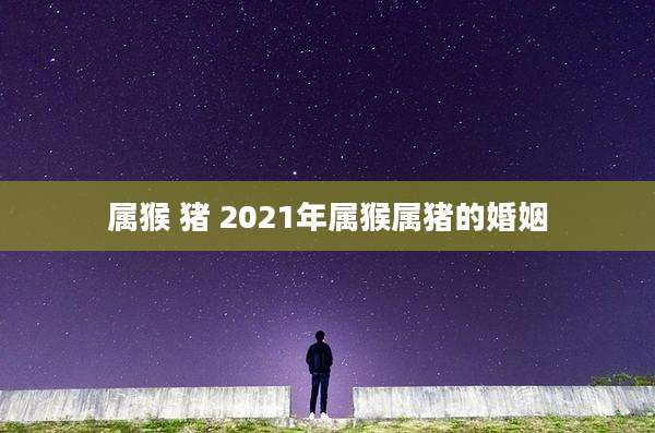 属猴 猪 2021年属猴属猪的婚姻