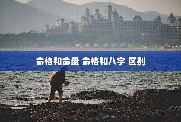 命格和命盘 命格和八字 区别