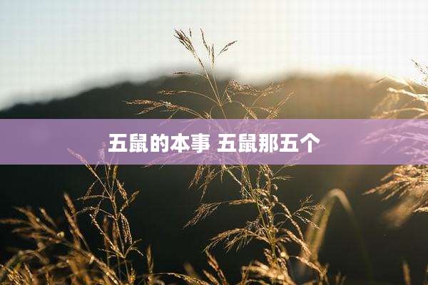 五鼠的本事 五鼠那五个