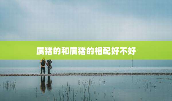 属猪的和属猪的相配好不好