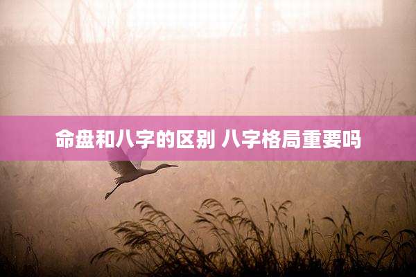 命盘和八字的区别 八字格局重要吗