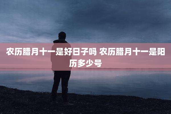 农历腊月十一是好日子吗 农历腊月十一是阳历多少号