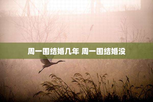 周一围结婚几年 周一围结婚没