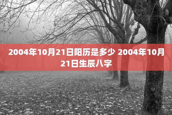 2004年10月21日阳历是多少 2004年10月21日生辰八字