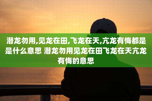 潜龙勿用,见龙在田,飞龙在天,亢龙有悔都是是什么意思 潜龙勿用见龙在田飞龙在天亢龙有悔的意思