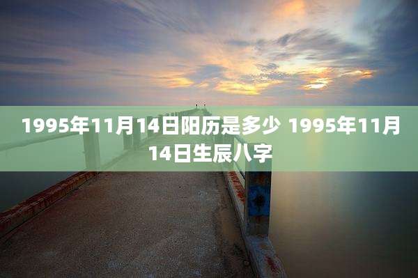 1995年11月14日阳历是多少 1995年11月14日生辰八字