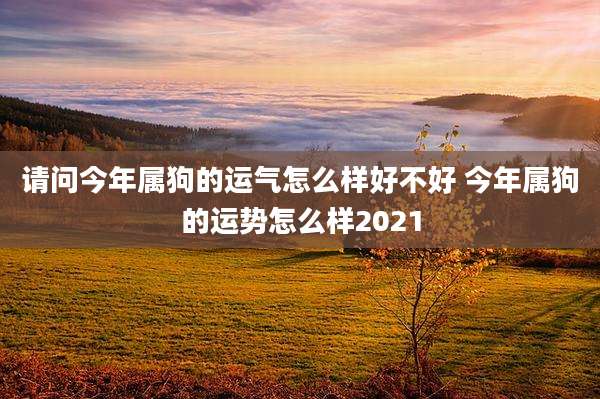 请问今年属狗的运气怎么样好不好 今年属狗的运势怎么样2021