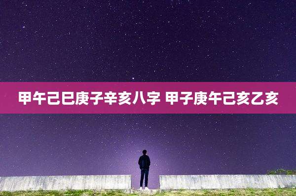 甲午己巳庚子辛亥八字 甲子庚午己亥乙亥