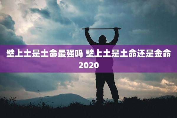 壁上土是土命最强吗 壁上土是土命还是金命2020