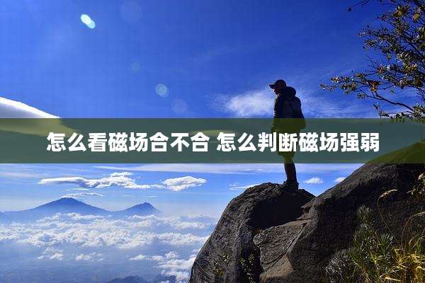 怎么看磁场合不合 怎么判断磁场强弱