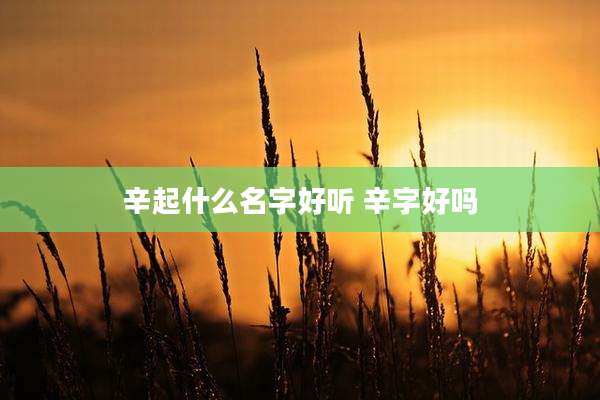 辛起什么名字好听 辛字好吗
