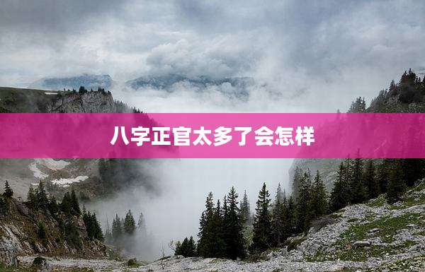 八字正官太多了会怎样