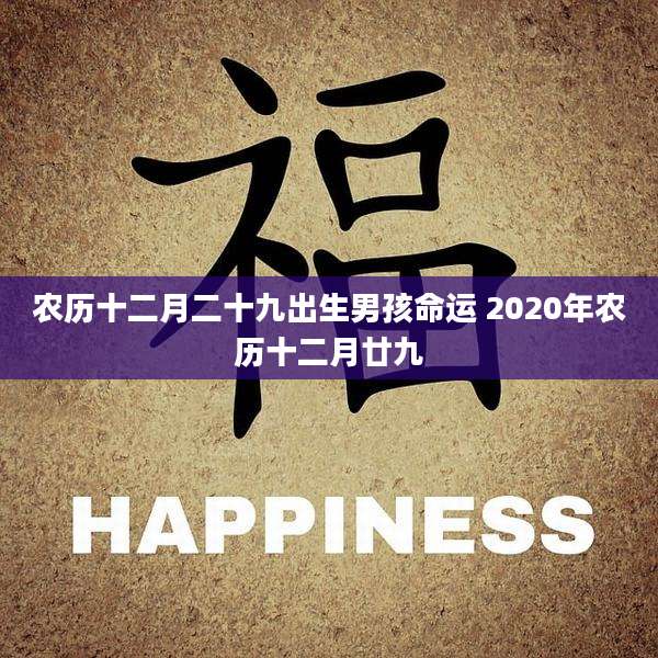 农历十二月二十九出生男孩命运 2020年农历十二月廿九