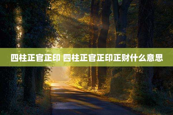 四柱正官正印 四柱正官正印正财什么意思