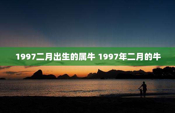 1997二月出生的属牛 1997年二月的牛