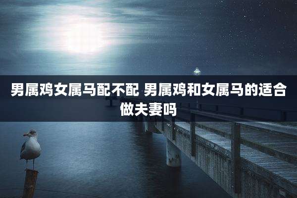 男属鸡女属马配不配 男属鸡和女属马的适合做夫妻吗