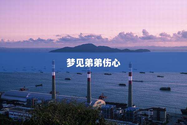 梦见弟弟伤心