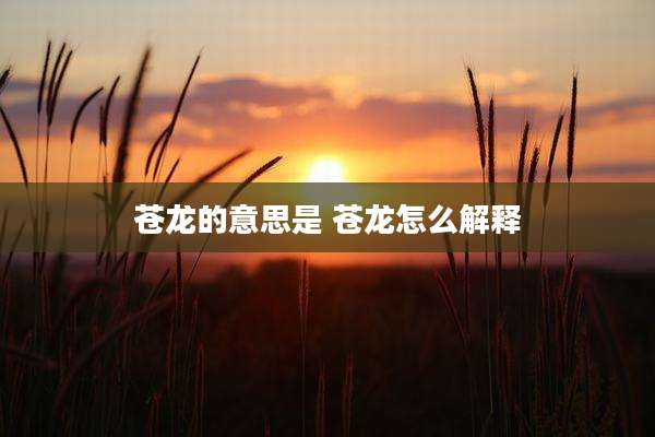 苍龙的意思是 苍龙怎么解释
