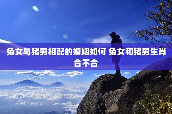 兔女与猪男相配的婚姻如何 兔女和猪男生肖合不合