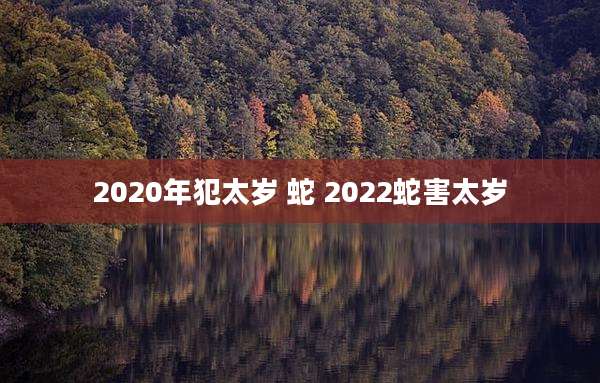 2020年犯太岁 蛇 2022蛇害太岁