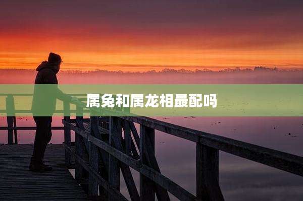 属兔和属龙相最配吗