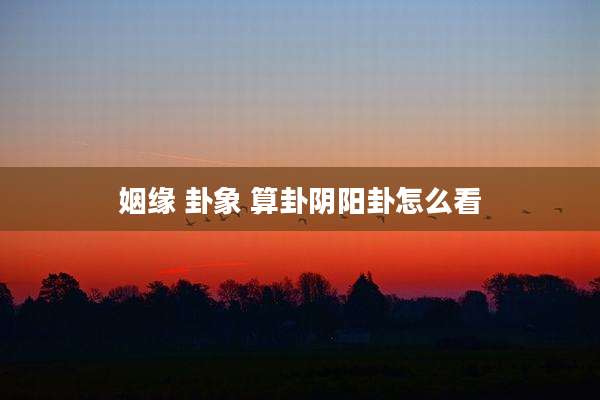 姻缘 卦象 算卦阴阳卦怎么看